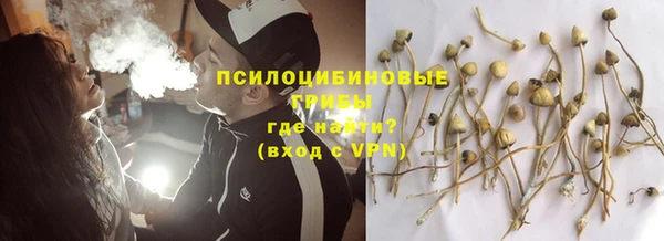 spice Богородск