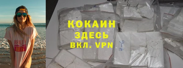 spice Богородск