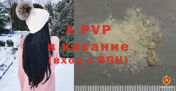 spice Богородск