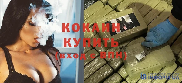 прущие грибы Богородицк