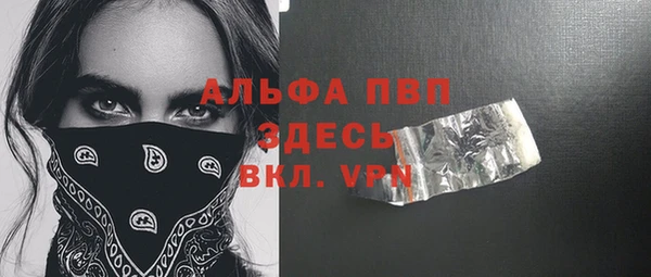 spice Богородск