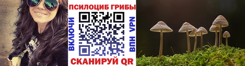 Псилоцибиновые грибы прущие грибы  Городовиковск 